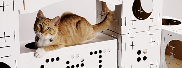 Европейская компания предлагает картонные домики-конструкторы для кошек