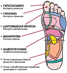 Рефлексология стопы: эти 7 активных точек способны вернуть тебя к жизни за пару минут!