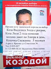 Продам козу