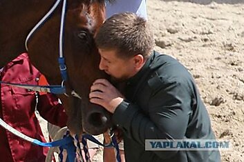 Кадыров признал поцелуи дикостью.