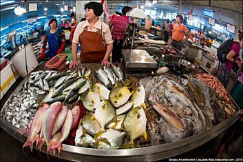 Морская живность на китайском рынке