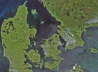 Балтийское море стало крупнейшей мертвой зоной
