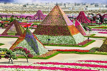 Это же 8-е чудо света! Уникальный сад в Дубае удивит даже самых придирчивых