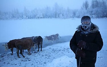 Места для выживания