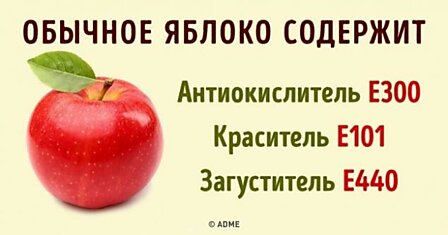 Все, что нужно знать о пищевых добавках, чтобы научиться отличать полезные от вредных