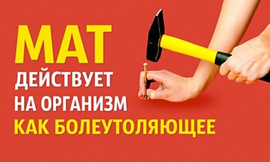 15 головокружительных фактов, которые звучат как ложь