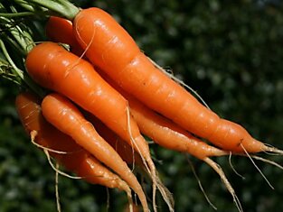 Три прекрасных рецепта масок для лица из морковки