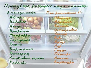 Как и где хранить свежие продукты.