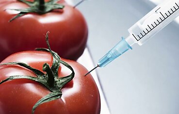 Признаки ГМО в продуктах на Вашем столе