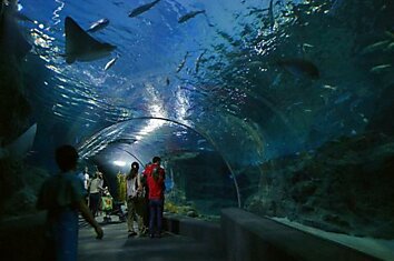 Океанариум в Бангкоке. Siam Ocean World (17 фотографий)