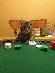 The poker face.