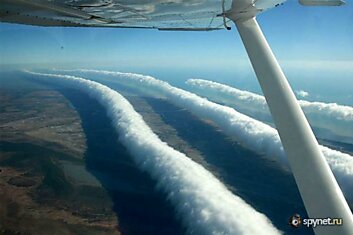 Утренние облака славы (Австралия)