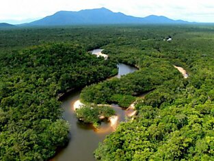 Большое фотопутешествие по лесам Амазонки
