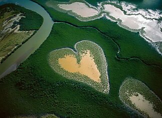 Сердце из мангровых деревьев в Новой Каледонии.