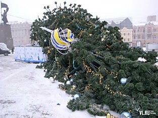 Новогодняя елка  Владивостока