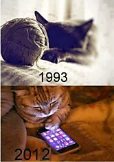 Кошки тогда и сейчас