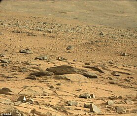 На Марсе нашли ящерицу (3 фотографии)