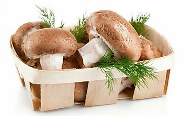 Можно ли жарить грибы без отваривания?