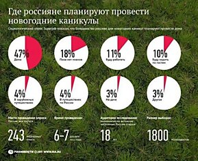 Новогодние инфографики с полезными советами (19 картинок)