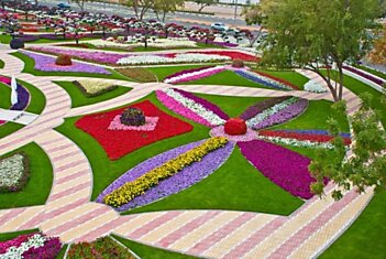 Цветочный сад Аль-Айн (17 фото)