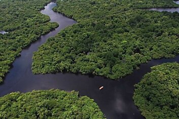 Почему нет смысла строить мост через Амазонку