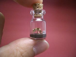 Крошечный мир в миниатюрных бутылках