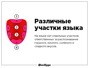 35 самых популярных «фактов» рунета, которые не имеют ничего общего с истиной