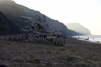 Череп дракона на побережье