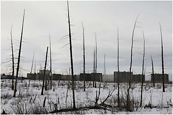 Добро пожаловать в Норильск (35 фотографий)