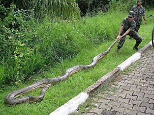 Поймали червячка для рыбалки