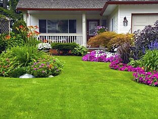 Плюсы и минусы наиболее популярных методов озеленения садового участка