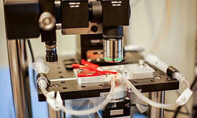 Микроскоп нового типа позволяет снимать ход химической реакции в реальном времени