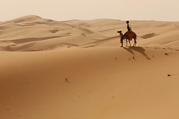 Корпорация Google использовала верблюда в пустыне Лива для Google Street View
