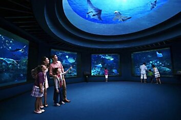 S.E.A. Аквариум в Сингапуре - самый большой аквариум в мире