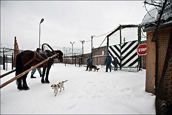 Быт архангельской колонии