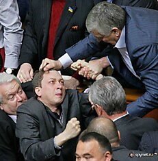 "Бойцовский клуб" в украинском парламенте (22 фото)