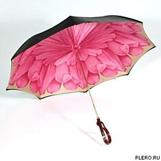 Яркий зонтик