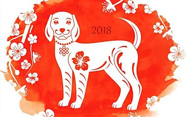 Лови удачу за хвост! Напутствия от Земляной Собаки для всех знаков на 2018 год.