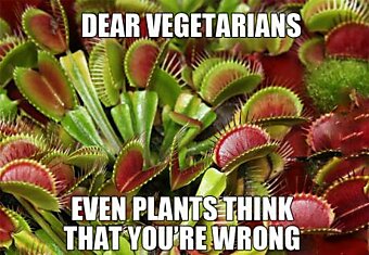 Господа Вегетарианцы, вы заблуждаетесь. Даже овощу понятно