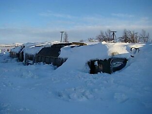 Последствия снежной зимы