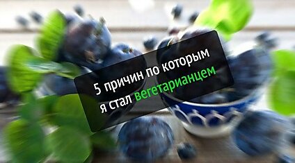 5 причин по которым я стал вегетарианцем