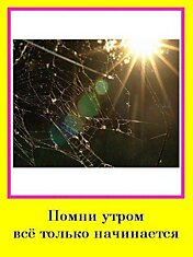 Позитив (12 фотографий)