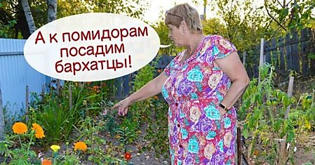 Почему бывает полезно потеснить томаты и посадить к ним соседей снизу