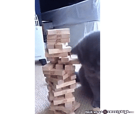 Умная кошка играет в умную игру «Jenga»