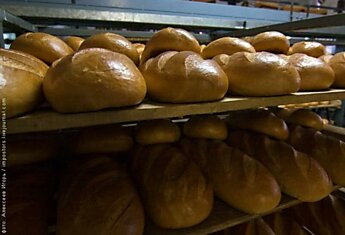 Хлебный завод в Павловском Посаде