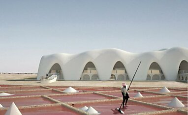 Голландский архитектор планирует строить в пустыне города из соли