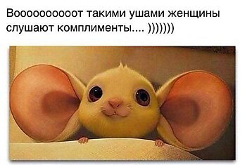 Женщины слушают комплименты вот такими ушами)))