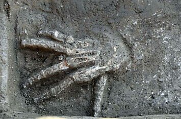 В древнем дворце нашли склад отрубленных рук