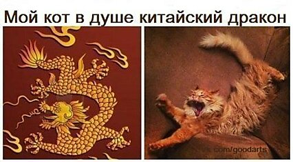 Мой кот в душе - китайский дракон