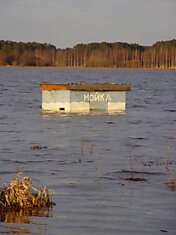 Помыть машину не желаете? Если ездите на автобусе, то смотрим дальше